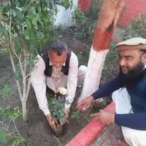 Green Seekers Activity